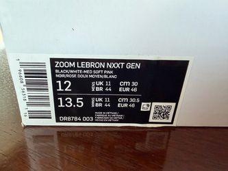 Zoom LeBron NXXT Gen
