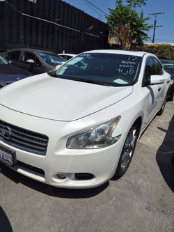 2010 Nissan Maxima