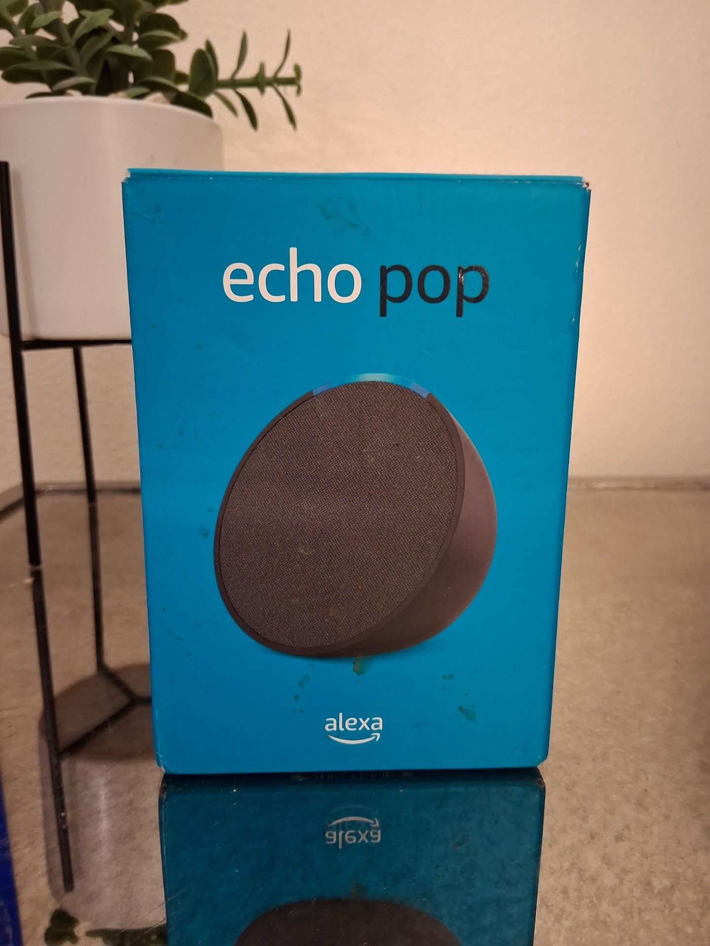 Echo Pop