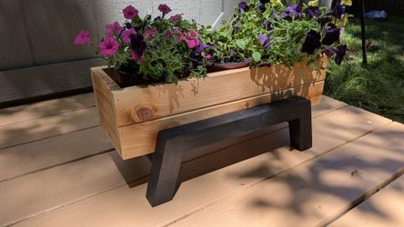 Beautiful Stylish planters