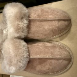 UGG Slippers Size 7 Woman's New In Box 