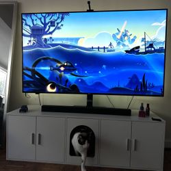 Tv Stand - Hidden Litter Box