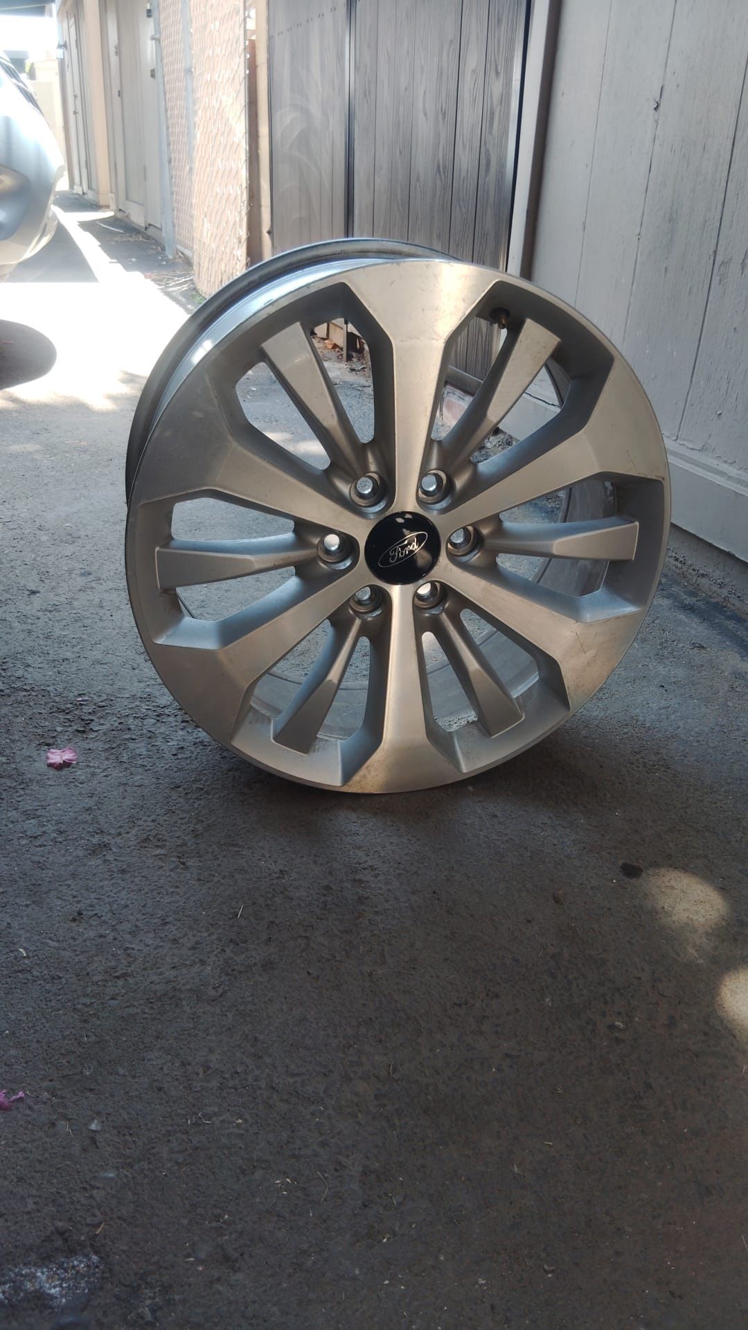 20” Ford OEM