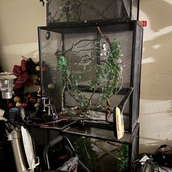 Chameleon/Lizard Cages And Extras