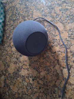 Amazon alexa echo dot