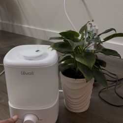 LEVOIT Humidifier