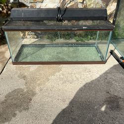 20 Gallon Long Fish Tank Aquarium Cage 