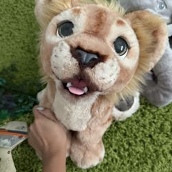 Simba 