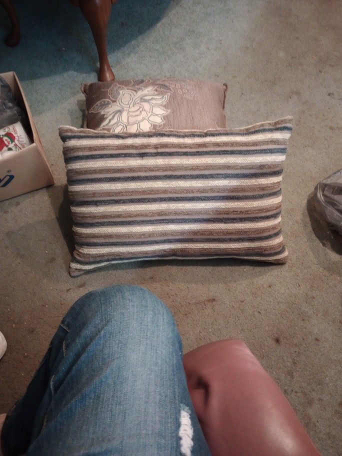 Two Pillows For The Couch Tan White And Brown Blue