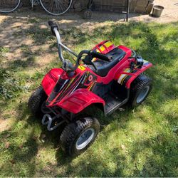 Razor- Dirt Quad