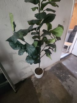 Artificial fig tree
