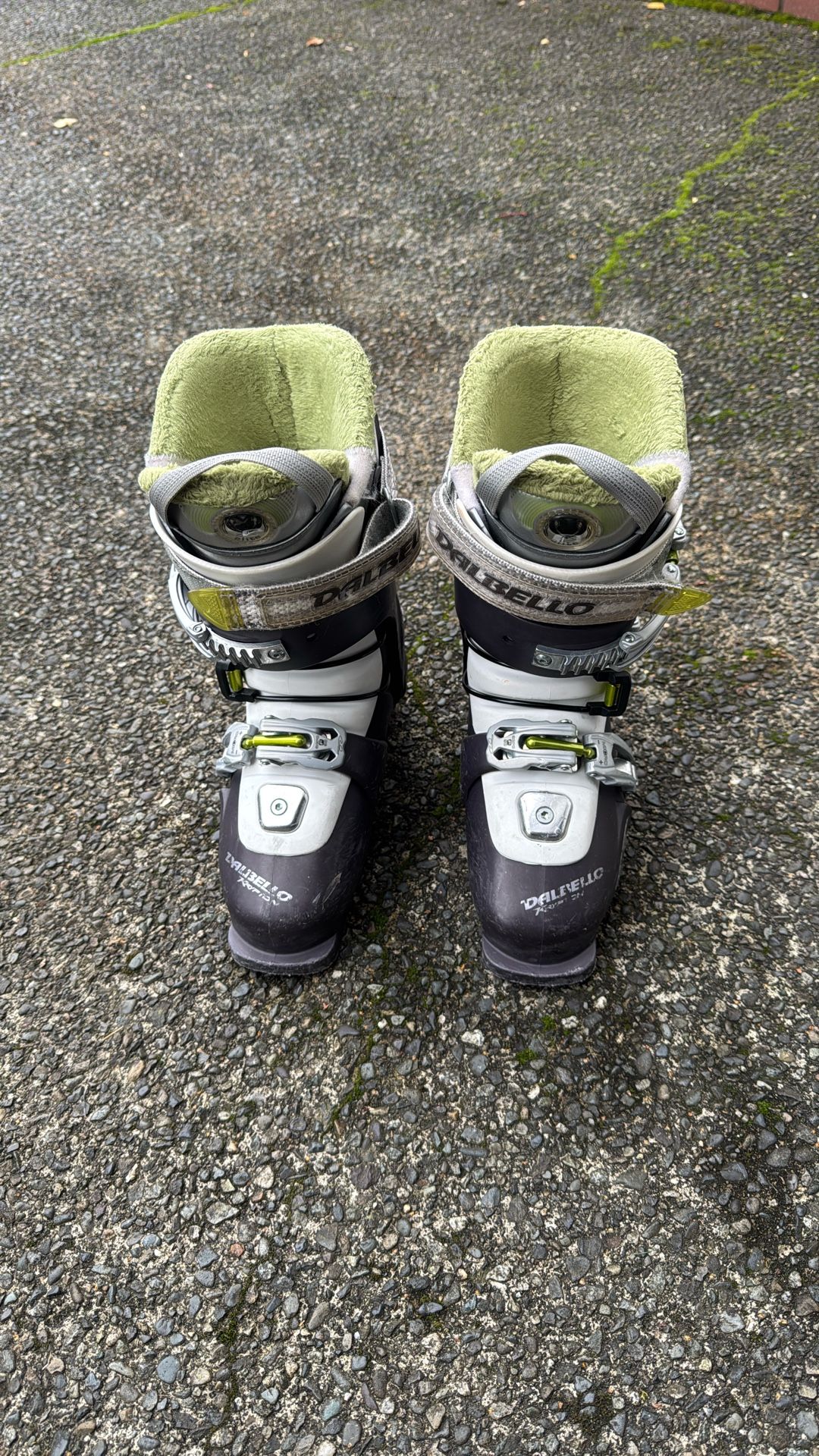 Dalbello Ski Boots Womens Ski Boot 23.5