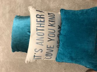 Torqouse indoor pillows