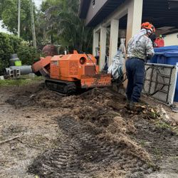 Stump Grinder, Moledora Troncos Raíces, Árboles Palmas. Trees Palms Stumps.