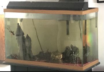 Fish Tank