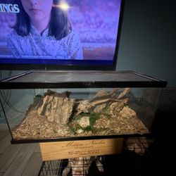 20 Gallon Terrarium 
