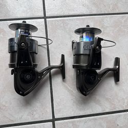 Fishing spinning reel