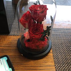 Rose Lantern 