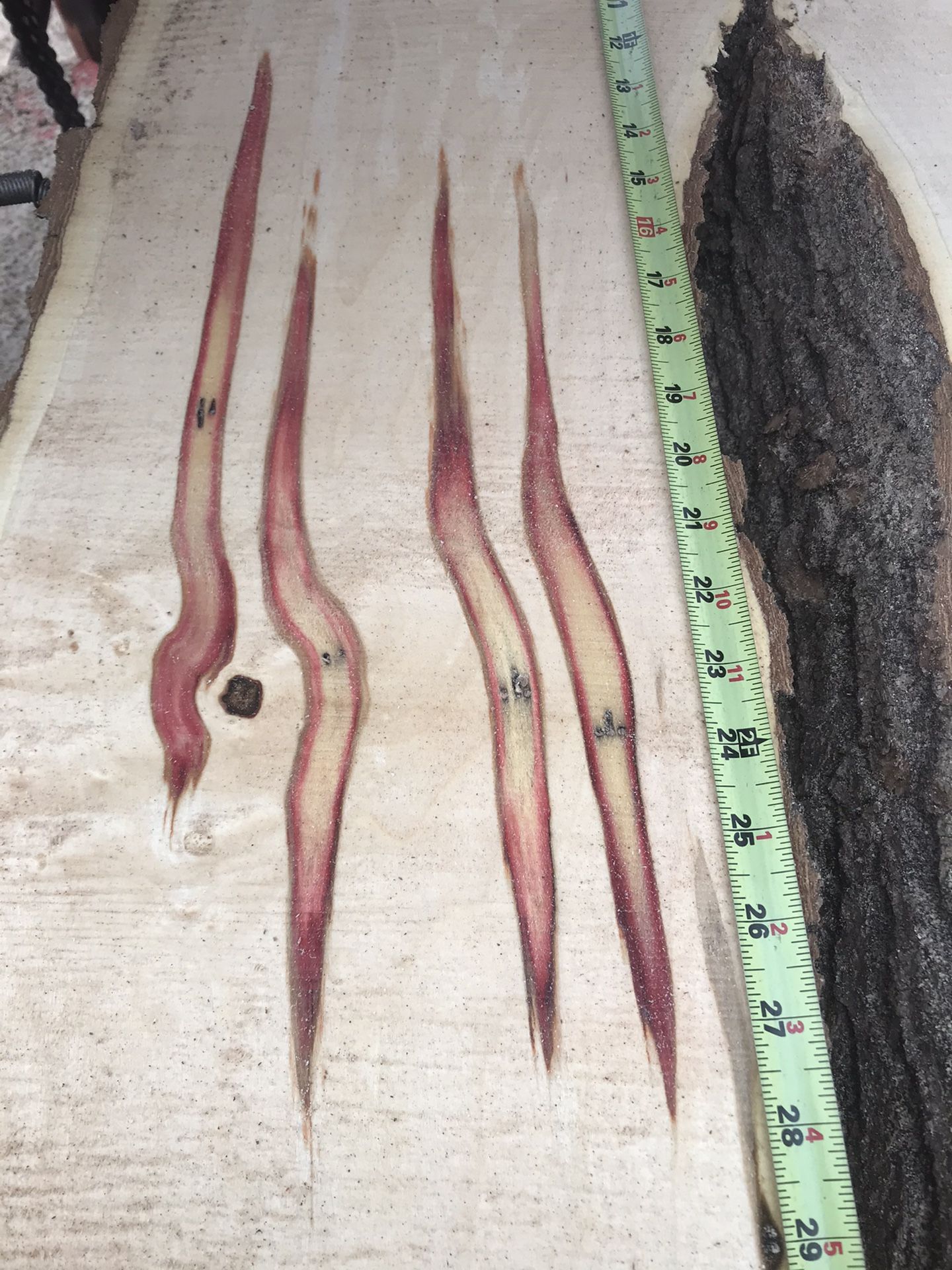 Flame Elder Live Edge Slabs