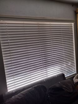 Blinds 59"x48"