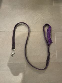 Dog Leash 
