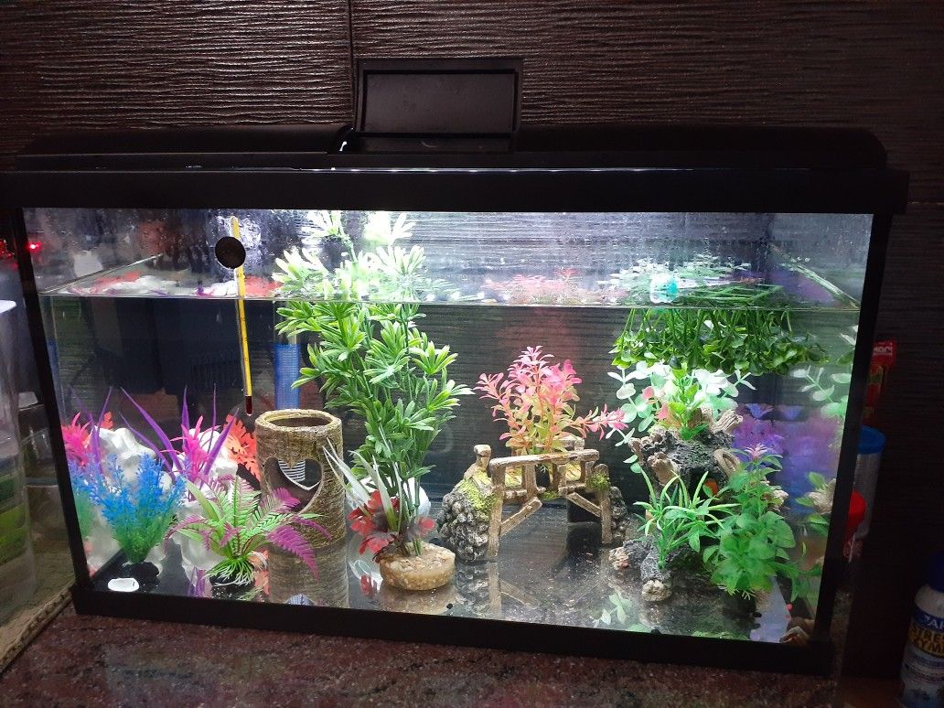 20 Gallon Fish Tank Like New / Modern Black Frame Version (only tank, lights, Lid and gravel / Decor not included)