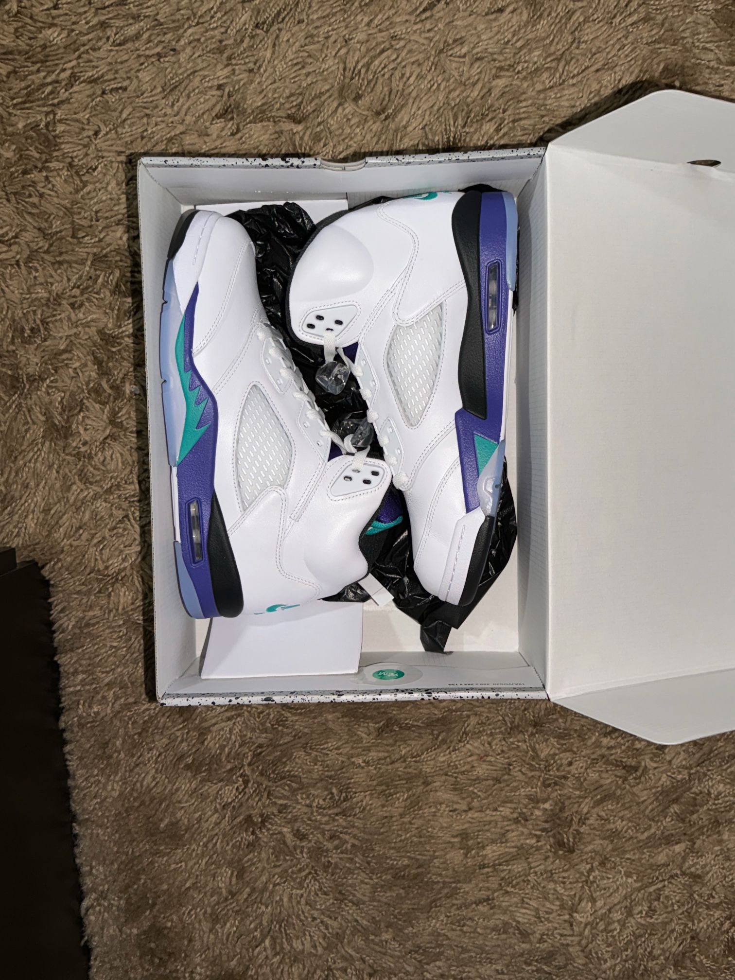 Jordan 5 Retro Grape 2025) Size 10.5 Men Brand New 