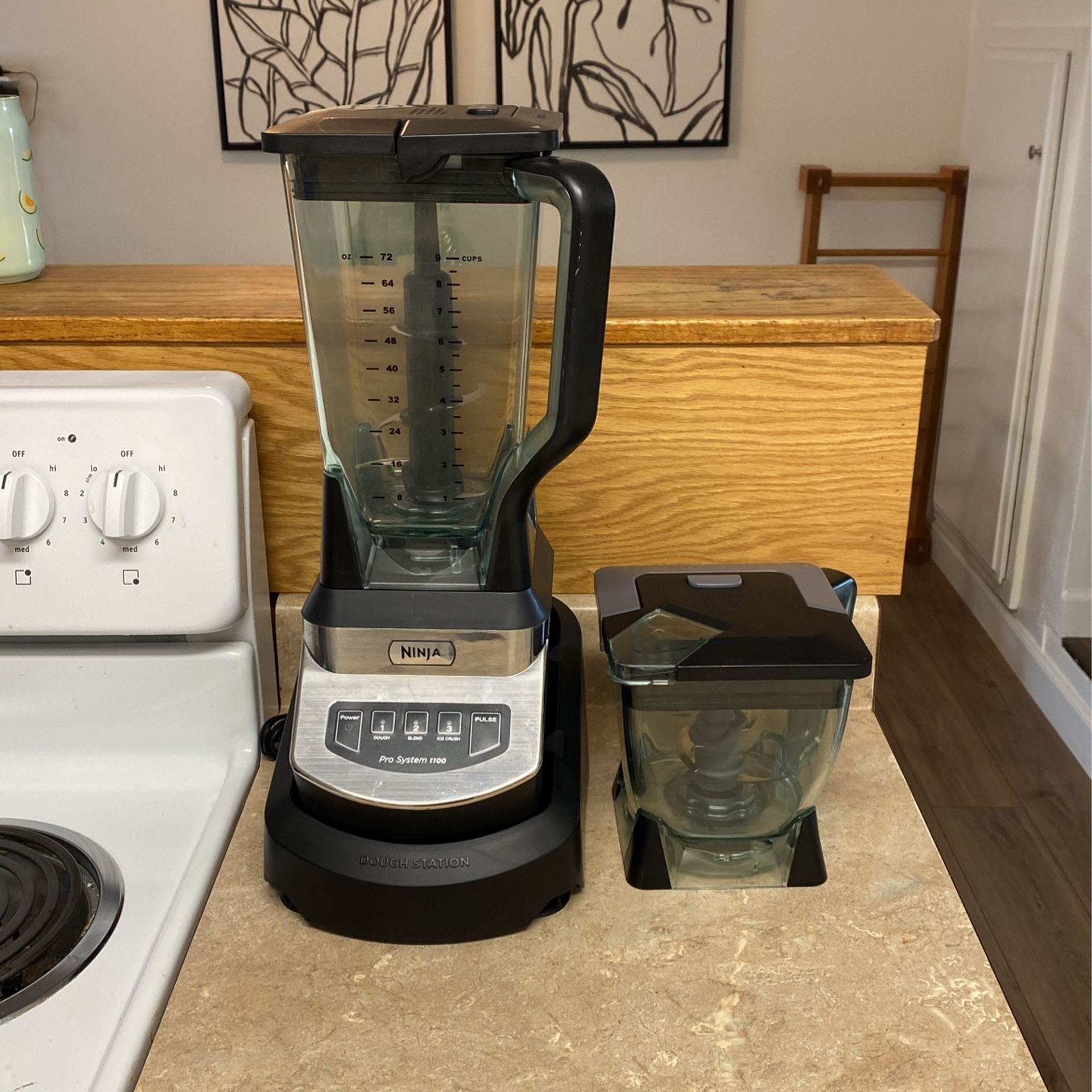 Ninja Pro System 1100 (Dough Station)