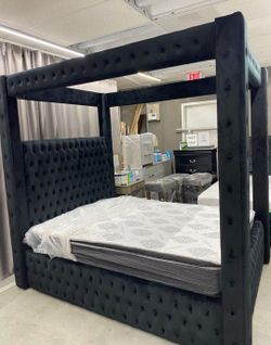 Black Velvet Brand New 