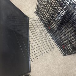 Large Sized Kennel