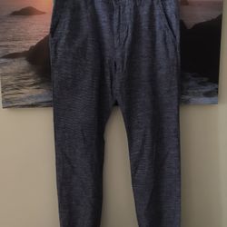 Express/ Men/Pants/Joggers/ 32/New