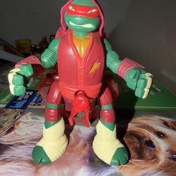 2013 Ninja Turtle Raphael