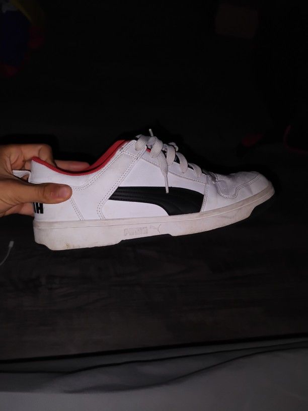 White Pumas