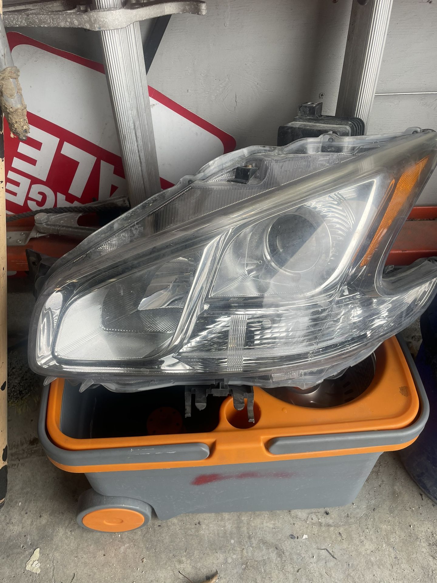 Maxima HID Headlight Driver Side Only