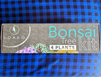 Bonsai tree kit