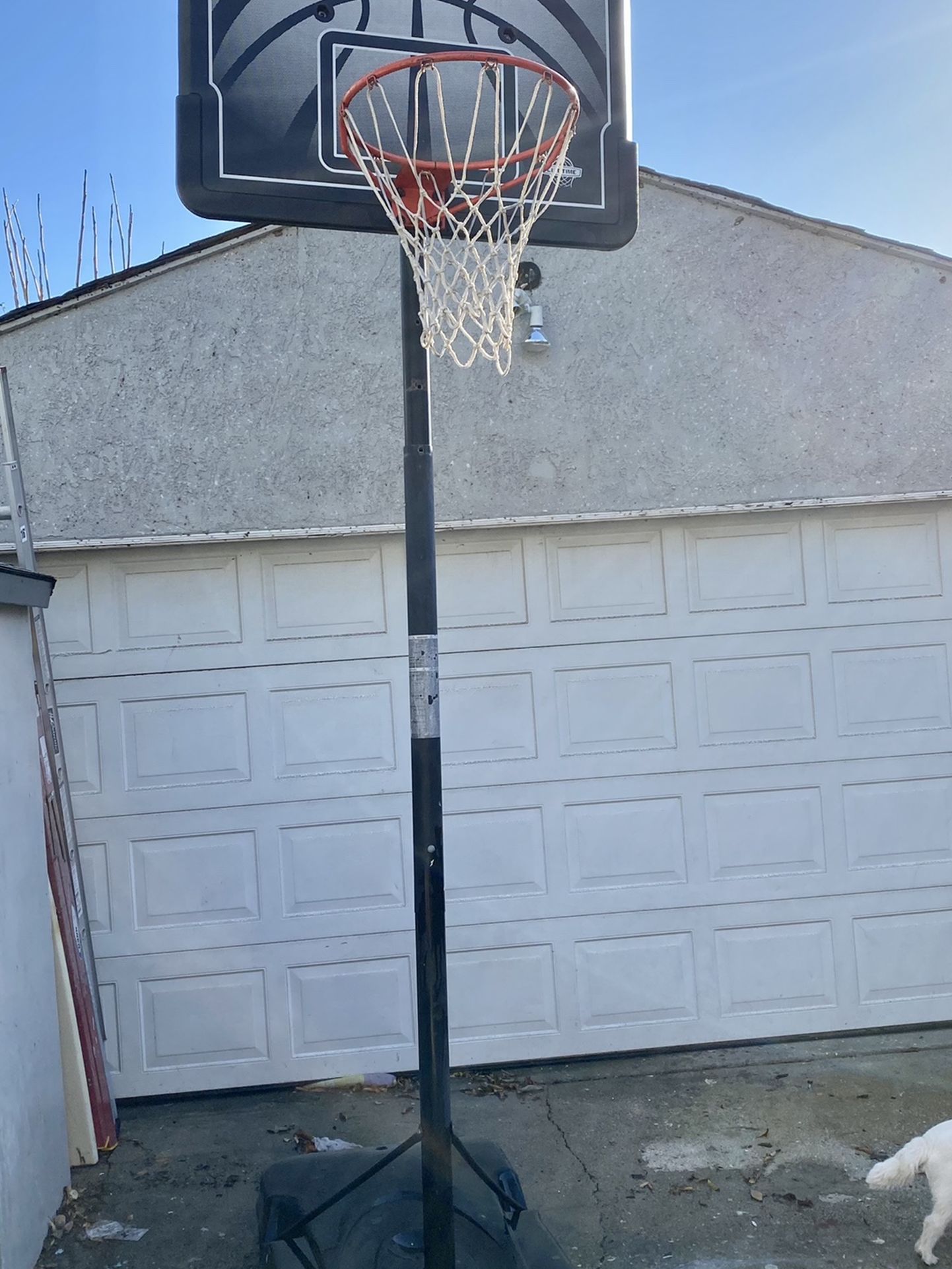 LIFETIME Basketball Hoop $50