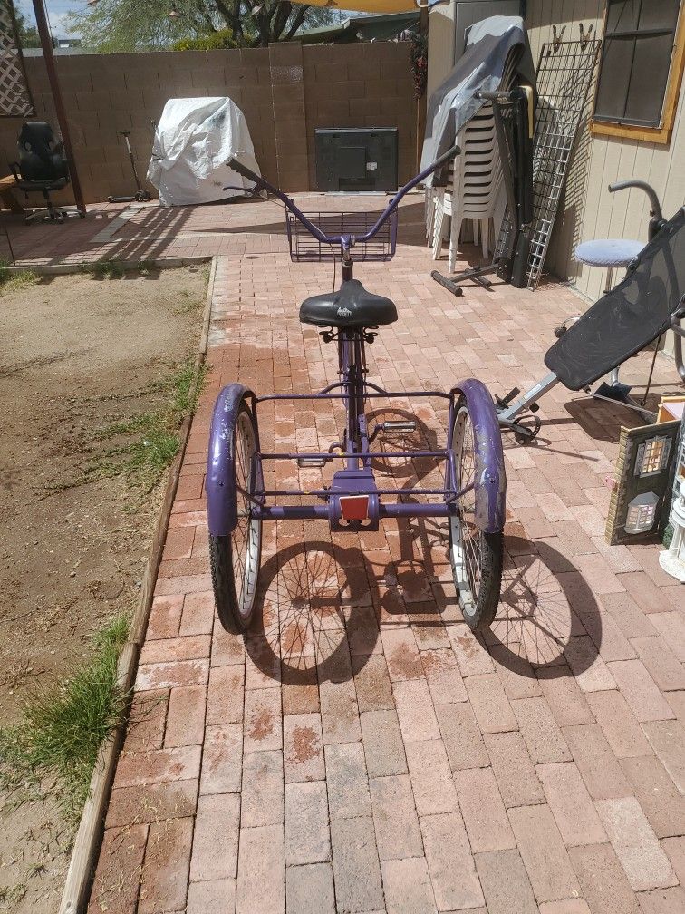 Old  Adult  Tracycle  Needs A  Little  Love  I ASK  $65.00 