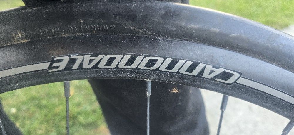 Canondale Wheel