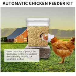 Chicken Feeder 