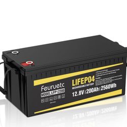 Feuruetc LIFEP04 Model: Lfp12200 RV Battery