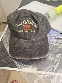 Brand new Yellowstone National Park cap fits most