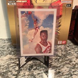 Dominique Wilkins 🔥