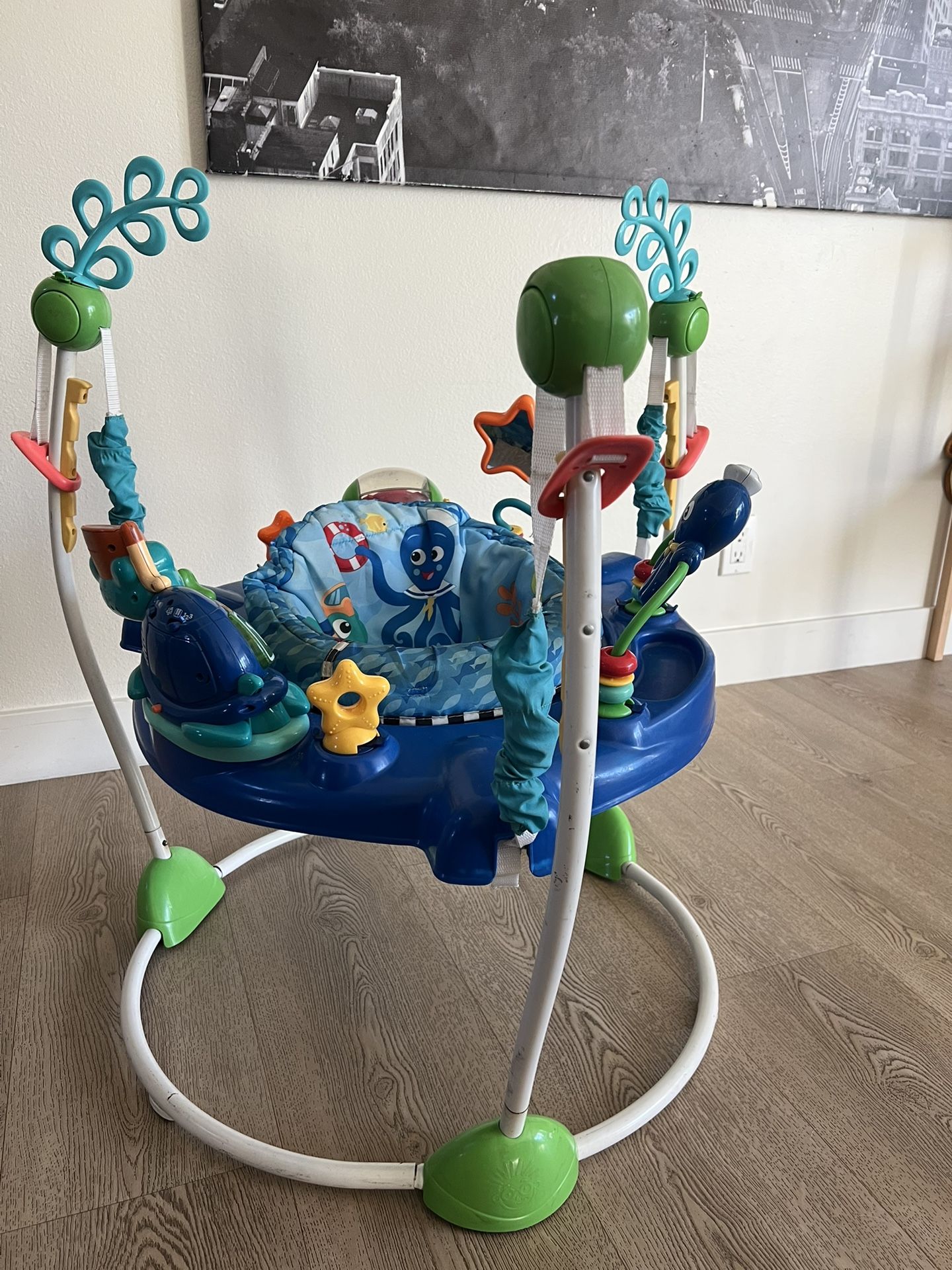 Used Baby Einstein Discovery Jumper