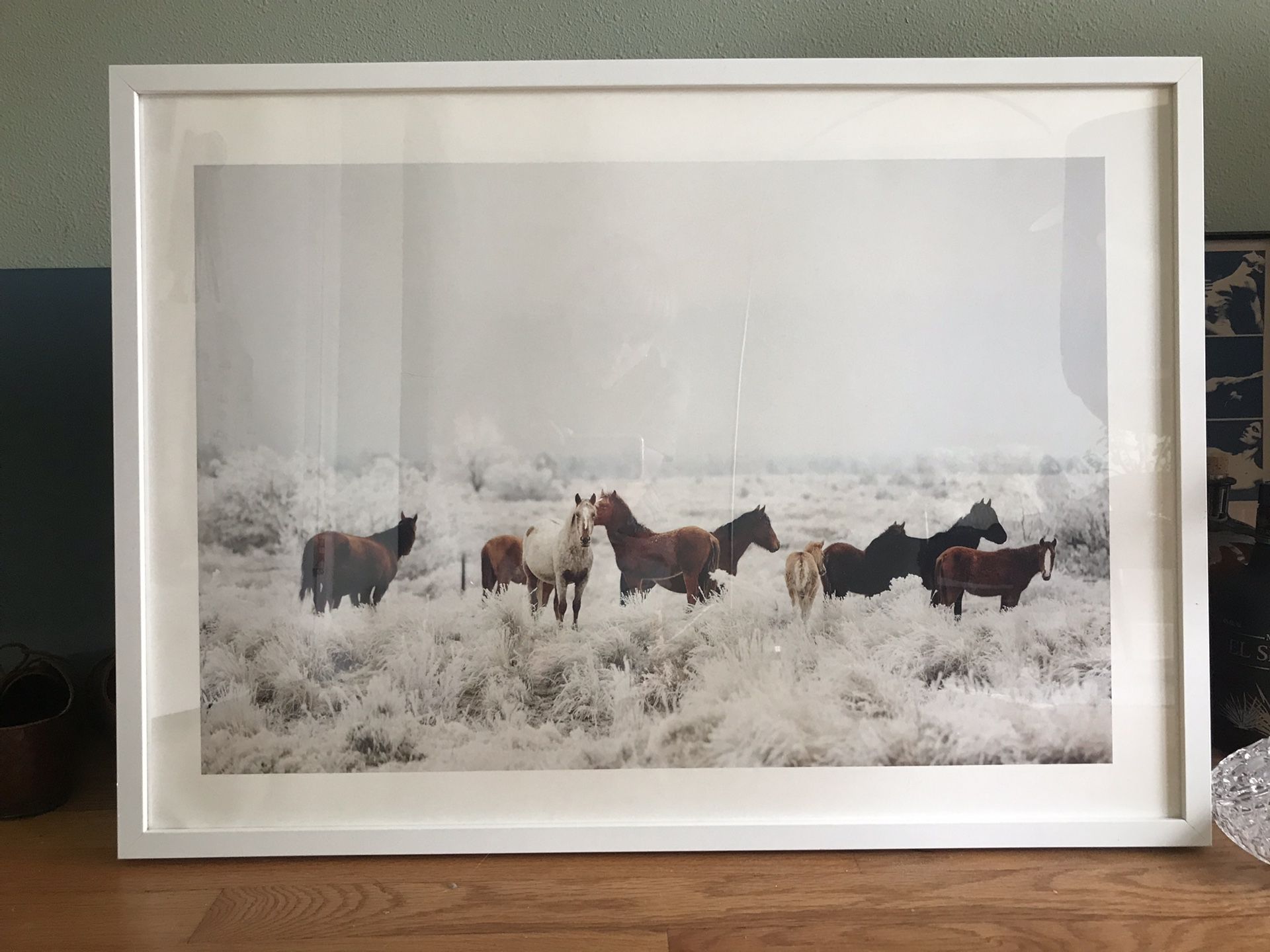 Framed photography print with wild horses