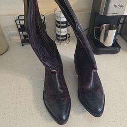 Dan Post Milwaukee Boots