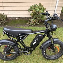 Ridstar Q20 1500W 48V 20AH