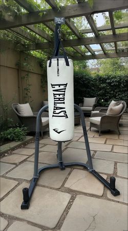 Everlast Punching Bag And Stand 