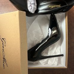 Size 6 Women’s Stiletto