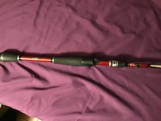 Bass pro shops Baitcasting rod