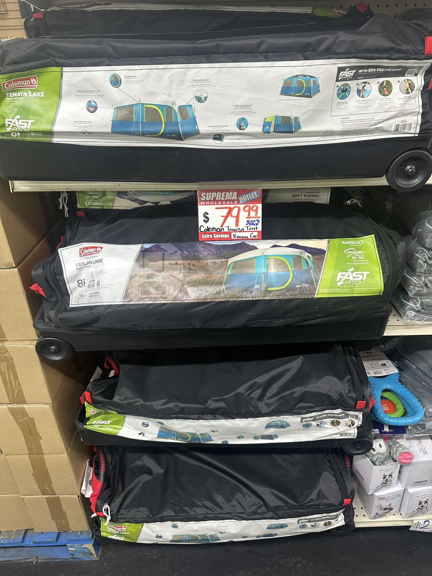 Coleman Montana 8 Person Tent, Palm Green — Shop J&W Coleman 8